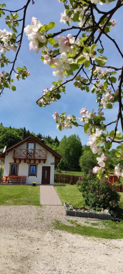 Sloneczna Chalupka Chalet *